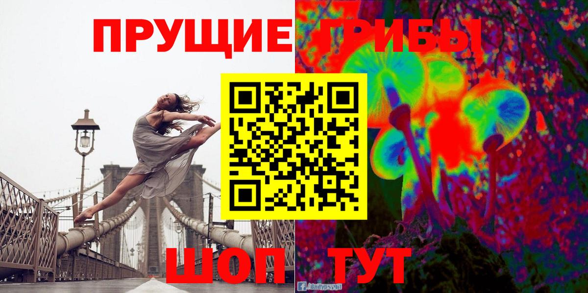 Псилоцибиновые грибы MAGIC MUSHROOMS  Вход с VPN  Джанкой  Галлюциногенные грибы мицелий 